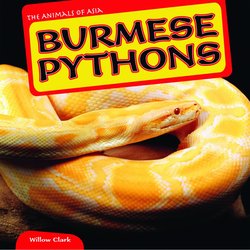 Burmese Pythons