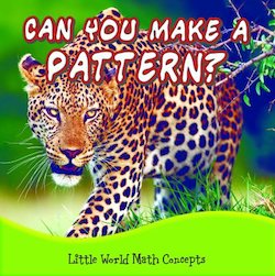 Can You Make a Pattern?