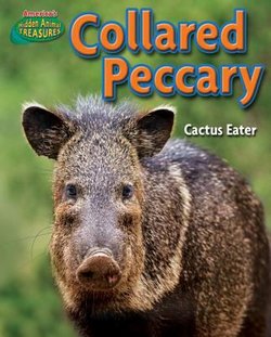 Collared Peccary: Cactus-Eater