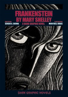 Frankenstein by Mary Shelley: A Dark Graphic Novel