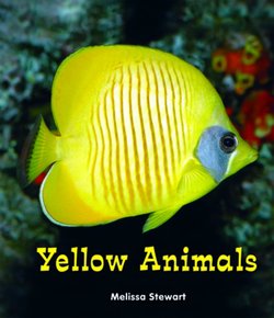 Yellow Animals