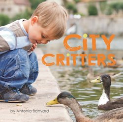 City Critters