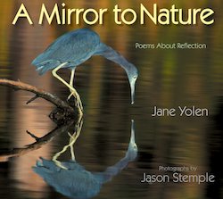 A Mirror to Nature: Poems About Reflection