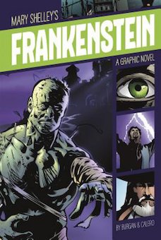 Mary Shelley's Frankenstein: A Graphic Novel