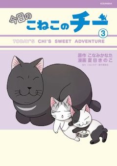 Chi's Sweet Adventures 3