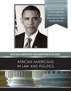 African-Americans in Law and Politics