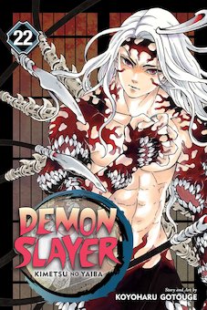 Demon Slayer V.22 the Wheel of Fate