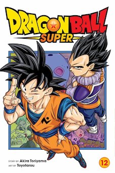 Dragon Ball Super, V 12