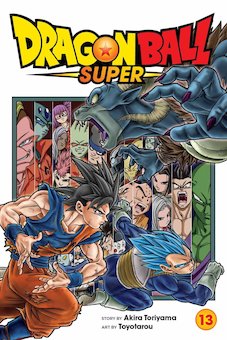 Dragon Ball Super, V 13