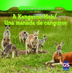 A kangaroo mob = Una manada de c