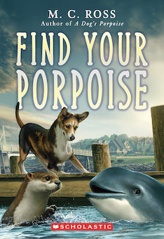 Find Your Porpoise