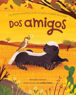 Dos Amigos: La Relación Simbiótica Entre el Ratel y el Pájaro de la Miel (Symbiotic Relationship Between the Honey Badger and the Honey Guide Bird)