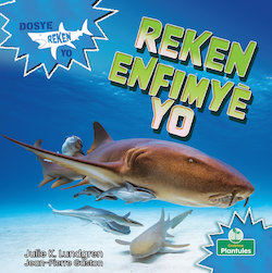 Reken Enfimyè Yo (Nurse Sharks)