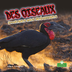 Des oiseaux effrayants mais interessants (Creepy But Cool Birds)