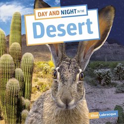 Day and Night in the Desert