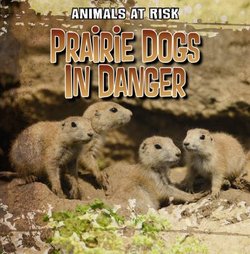 Prairie Dogs in Danger