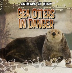 Sea Otters in Danger