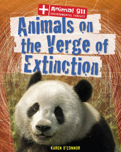 Animals on the Verge of Extinction