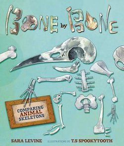 Bone by Bone: Comparing Animal Skeletons