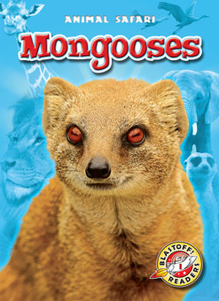 Mongooses - Perma-Bound Books