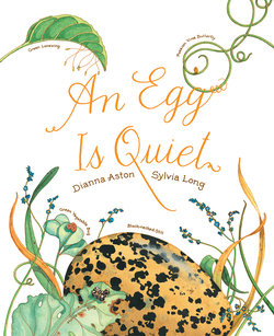 An Egg Is Quiet