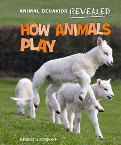 How Animals Play