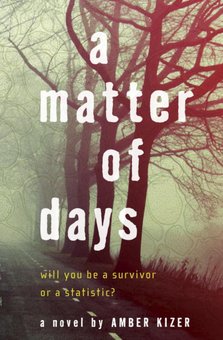 A Matter of Days: A Novel