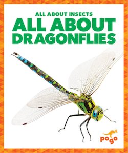 All About Dragonflies