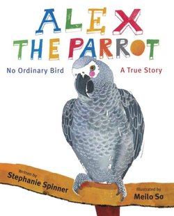 Alex the Parrot: No Ordinary Bird