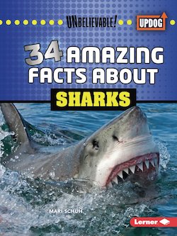 34 Amazing Facts About Sharks