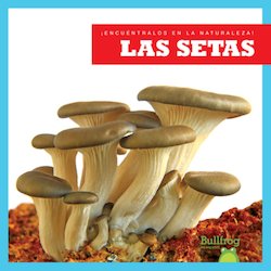 Las setas (Mushrooms)