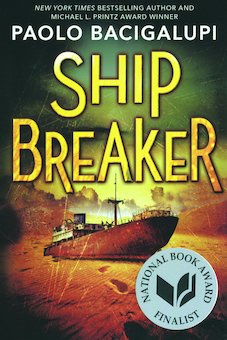 Ship Breaker