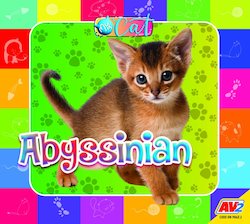 Abyssinian