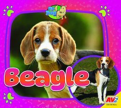 Beagle