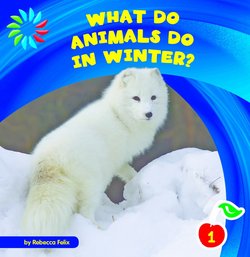 What Do Animals Do in Winter?