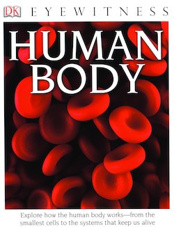 Human Body