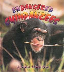 Endangered Chimpanzees