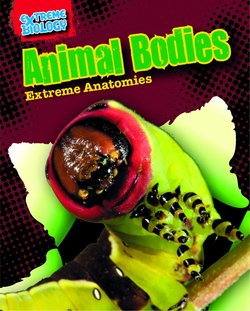 Animal Bodies: Extreme Anatomies