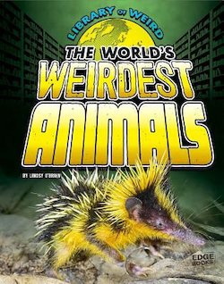 The World's Weirdest Animals