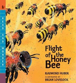 Flight of the Honey Bee