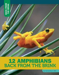 12 Amphibians Back from the Brink