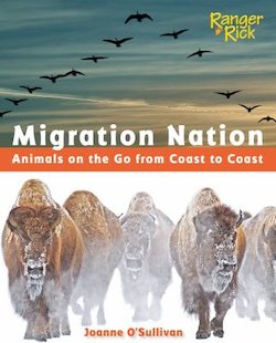 Migration Nation: Annimals on the Go from Coast to Coast