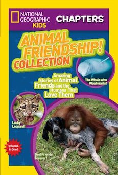 Animal Friendship! Collection: Amazing Stories of Animal Friends and the Humans That Love Them