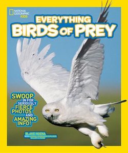 Birds of Prey: Swoop in for Seriously Fierce Photos and Amazing Info!