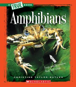 Amphibians