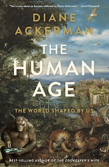 The Human Age: The World Shaped by Us